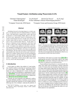 Visual Feature Attribution using Wasserstein GANs