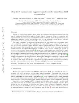 Deep CNN ensembles and suggestive annotations for infant brain MRI
  segmentation