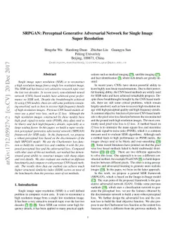 SRPGAN: Perceptual Generative Adversarial Network for Single Image Super
  Resolution