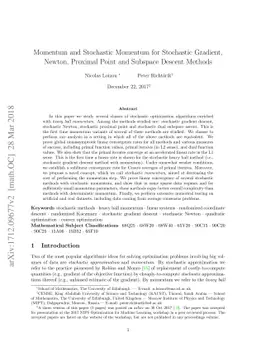Momentum and Stochastic Momentum for Stochastic Gradient, Newton,
  Proximal Point and Subspace Descent Methods