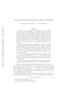 Natural Langevin Dynamics for Neural Networks