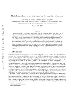 Modelling collective motion based on the principle of agency