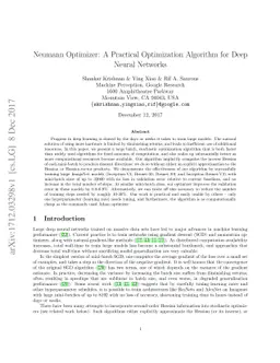 Neumann Optimizer: A Practical Optimization Algorithm for Deep Neural
  Networks
