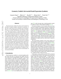 Geometry Guided Adversarial Facial Expression Synthesis