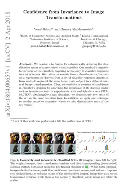 Confidence from Invariance to Image Transformations