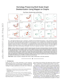 Homology-Preserving Multi-Scale Graph Skeletonization Using Mapper on
  Graphs