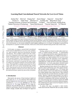 Learning Dual Convolutional Neural Networks for Low-Level Vision