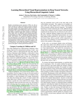 Learning Hierarchical Visual Representations in Deep Neural Networks
  Using Hierarchical Linguistic Labels