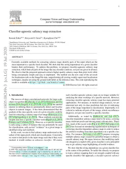 Classifier-agnostic saliency map extraction