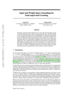 Input and Weight Space Smoothing for Semi-supervised Learning