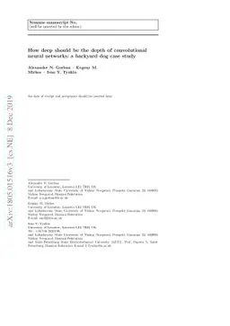 How deep should be the depth of convolutional neural networks: a
  backyard dog case study