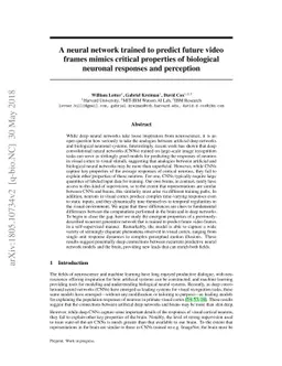 A neural network trained to predict future video frames mimics critical
  properties of biological neuronal responses and perception
