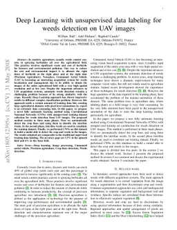 Deep Learning with unsupervised data labeling for weeds detection on UAV
  images