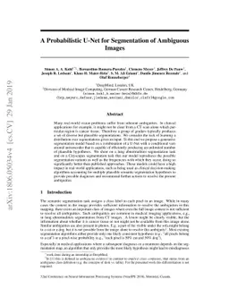 A Probabilistic U-Net for Segmentation of Ambiguous Images