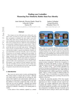 Finding your Lookalike: Measuring Face Similarity Rather than Face
  Identity