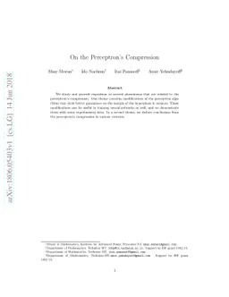On the Perceptron's Compression