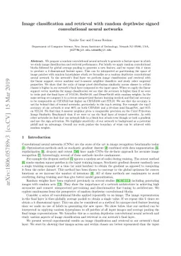 Image classification and retrieval with random depthwise signed
  convolutional neural networks