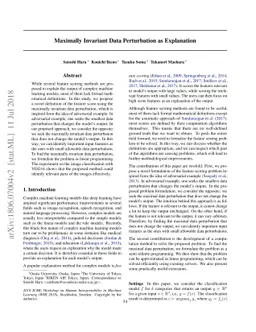 Maximally Invariant Data Perturbation as Explanation