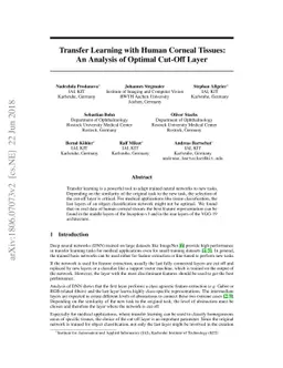 Transfer Learning with Human Corneal Tissues: An Analysis of Optimal
  Cut-Off Layer