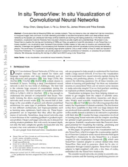 In situ TensorView: In situ Visualization of Convolutional Neural
  Networks