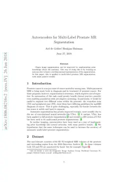 Autoencoders for Multi-Label Prostate MR Segmentation