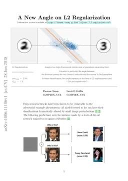 A New Angle on L2 Regularization