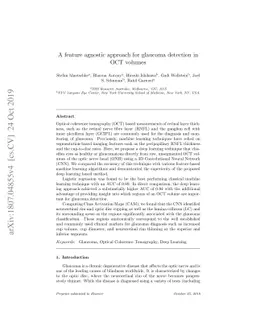 A feature agnostic approach for glaucoma detection in OCT volumes