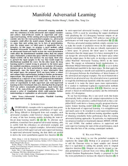 Manifold Adversarial Learning