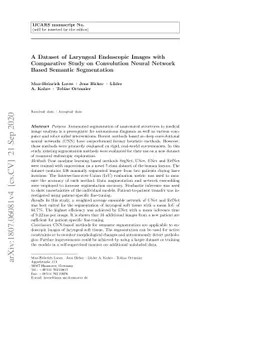 A Dataset of Laryngeal Endoscopic Images with Comparative Study on
  Convolution Neural Network Based Semantic Segmentation