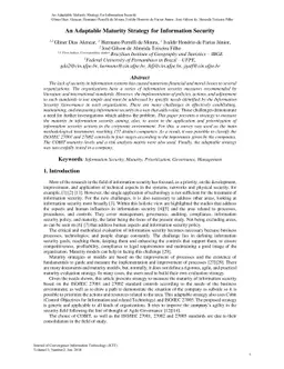 An Adaptable Maturity Strategy for Information Security