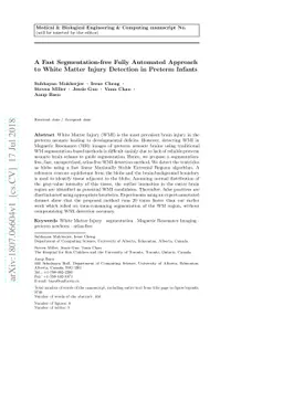 A Fast Segmentation-free Fully Automated Approach to White Matter Injury
  Detection in Preterm Infants