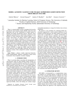 Model Agnostic Saliency for Weakly Supervised Lesion Detection from
  Breast DCE-MRI
