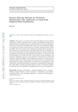 Particle Filtering Methods for Stochastic Optimization with Application
  to Large-Scale Empirical Risk Minimization
