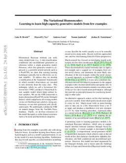 The Variational Homoencoder: Learning to learn high capacity generative
  models from few examples