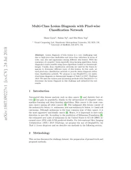 Multi-Class Lesion Diagnosis with Pixel-wise Classification Network