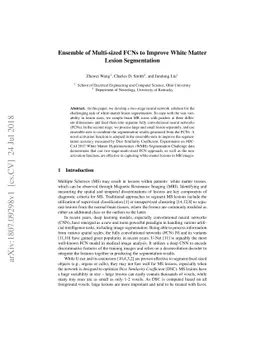 Ensemble of Multi-sized FCNs to Improve White Matter Lesion Segmentation