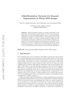 Multi-Resolution Networks for Semantic Segmentation in Whole Slide
  Images