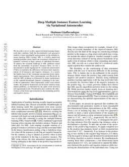 Deep Multiple Instance Feature Learning via Variational Autoencoder