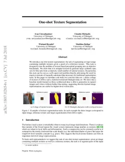 One-shot Texture Segmentation