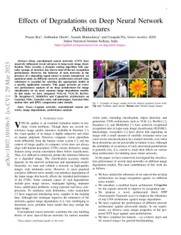 Effects of Degradations on Deep Neural Network Architectures