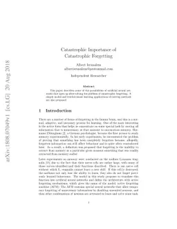 Catastrophic Importance of Catastrophic Forgetting