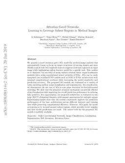 Attention Gated Networks: Learning to Leverage Salient Regions in
  Medical Images