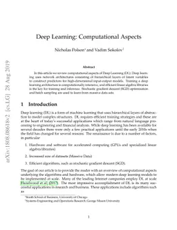 Deep Learning: Computational Aspects