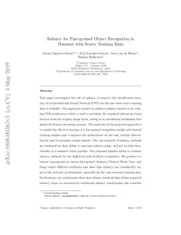 Saliency for Fine-grained Object Recognition in Domains with Scarce
  Training Data