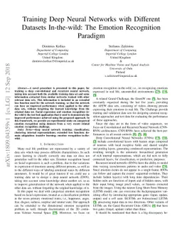 Training Deep Neural Networks with Different Datasets In-the-wild: The
  Emotion Recognition Paradigm