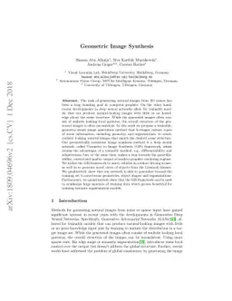 Geometric Image Synthesis