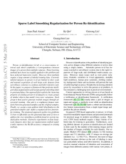 Sparse Label Smoothing Regularization for Person Re-Identification