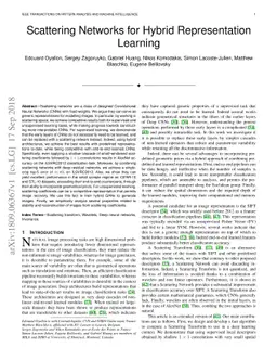 Scattering Networks for Hybrid Representation Learning