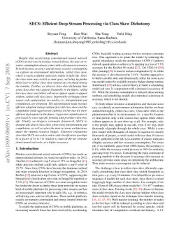 SECS: Efficient Deep Stream Processing via Class Skew Dichotomy
