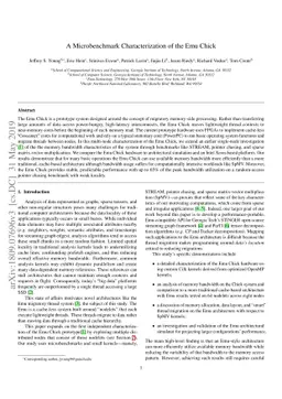 A Microbenchmark Characterization of the Emu Chick
